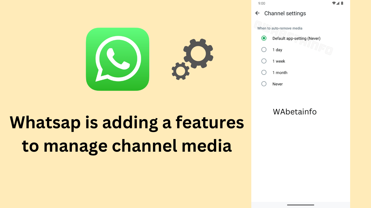 Whatsapp adding features to manage channel media